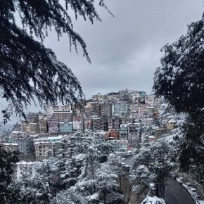 Snowfall and rain in Himachal cheers farmers tourists and locals