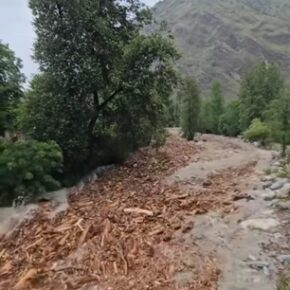 Forest department probes wooden logs found in Parvati and Beas Rivers post Kullu flash floods
